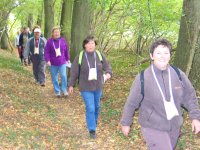 2009--E-en forêt-16